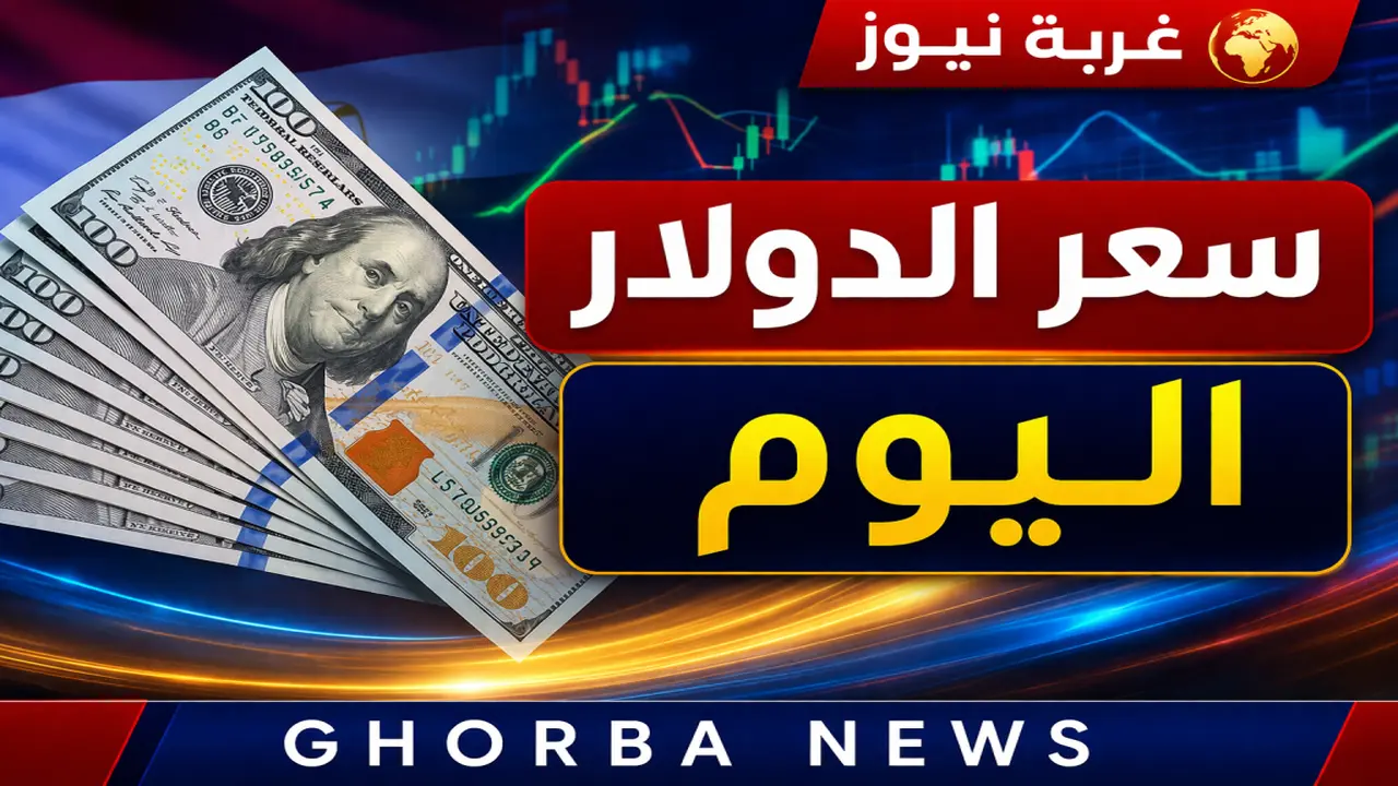 تفاوت أسعار شراء وبيع الدولار في البنوك المصرية وسط حركة التعاملات اليومية